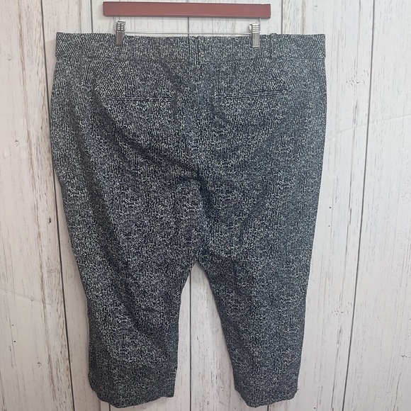 #46 Lane Bryant The Allie Crop Navy White Petal Pushers Pants Size 24 - Picture 2 of 6